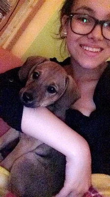 Štěně křížence