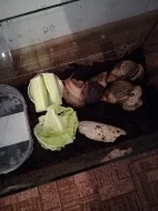 Daruji cizokrajné šneky