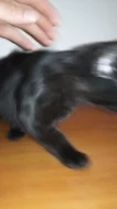 Druji