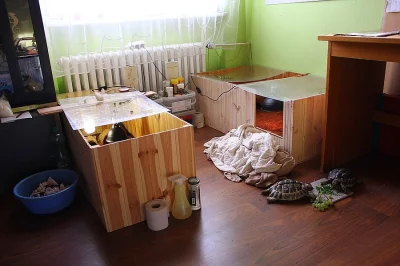 Prodám dřevěnou bednu pro suchozemské želvy