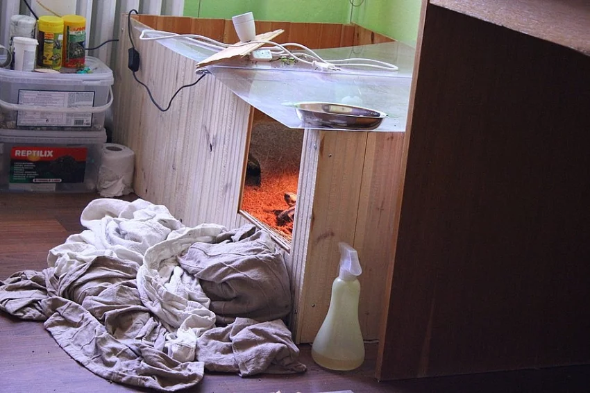 Prodám dřevěnou bednu pro suchozemské želvy