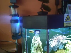 Odpěňovač pro mořské akvárium