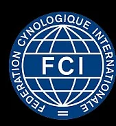CONTINENTAL BULLDOG štěňátka PP FCI