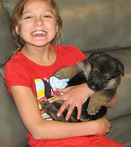 Dlouhé a krátké vlasy německé ovčáky