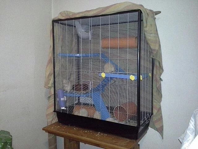 Prodám třípatrovou klec na potkany