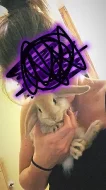 zakrslý králíček beránek