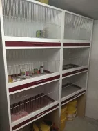 Prodám pozůstalost - chovní papoušci