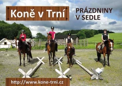 Prázdniny s koňmi- Tábor Koně v Trní