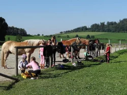 Prázdniny s koňmi- Tábor Koně v Trní