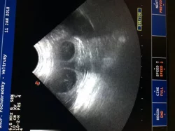 Slovenský čuvač s PP