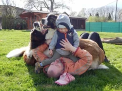 Moskevský strážní pes - rezervace na prodej štěňat