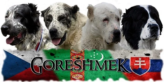 Středoasijský pastevecký pes