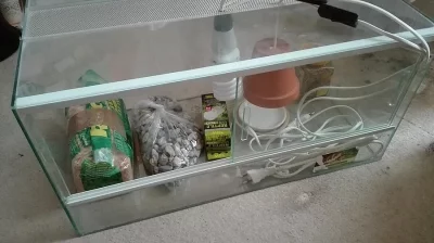 Terarium pro suchozemskou želvu