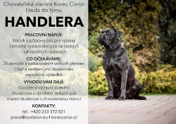 Kynolog - handler pro chovatelskou stanici psů cane corso