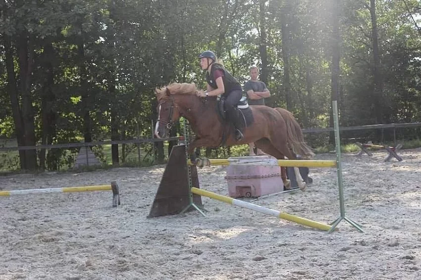 Prodej sportovní pony klisny