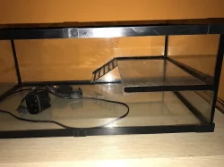Terárium a filtrace vodní zelva