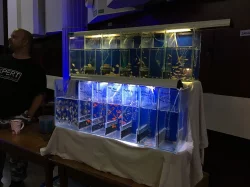 Chodovské AkvaTera trhy