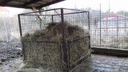 Příkrmiště