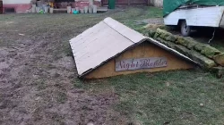 Příkrmiště