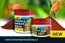 Krmení pro rybičky