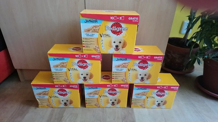 Pedigree Junior
