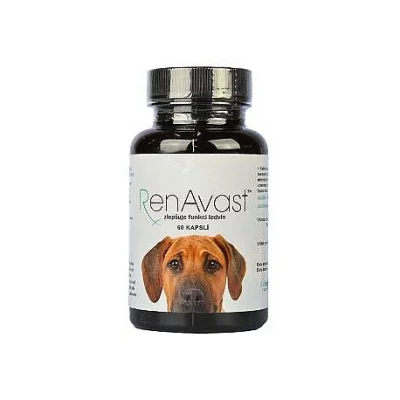 Renavast dog