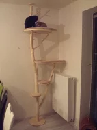 Kočičí strom /škrabadlo/kočka/koťata