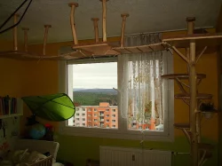 Kočičí strom /škrabadlo/kočka/koťata