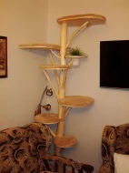 Kočičí strom /škrabadlo/kočka/koťata