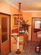 Kočičí strom /škrabadlo/kočka/koťata