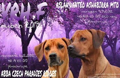 Rhodéský ridgeback