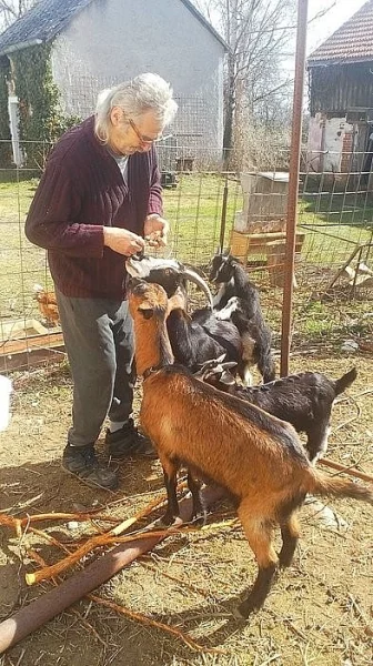 Dva anglonubijští kozlíci - i jednotlivě