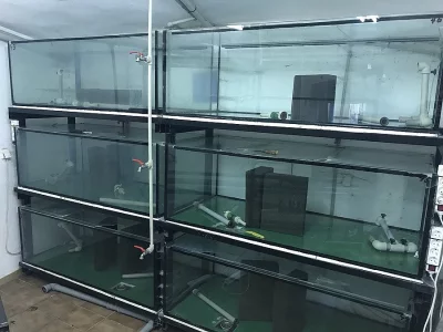 Prodám akvarijní pěstírnu 40 000 litrů