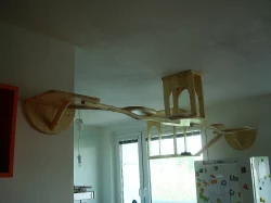 Kočičí strom /škrabadlo/kočka/koťata/pelíšek