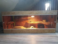terarium + uzovka cervena