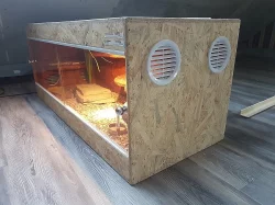 terarium + uzovka cervena