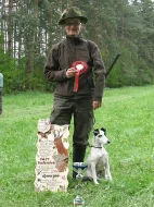 Foxterier hladkosrstý