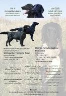 Černá štěňátka Flat Coated Retriever s PP