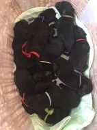 Černá štěňátka Flat Coated Retriever s PP