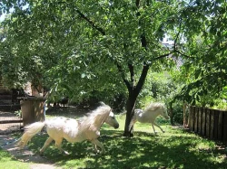 Minipony