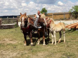 Českomoravský belgik