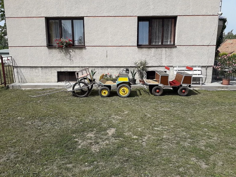 Bryčky za poníky, poníci i s postroji