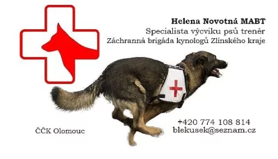 Výcvik psů