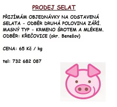 PRODÁM SELATA