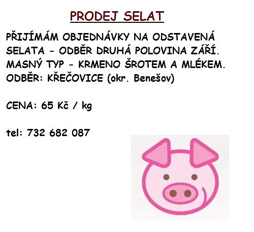PRODÁM SELATA