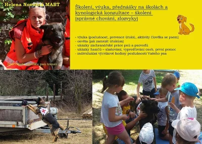 Výcvik psů