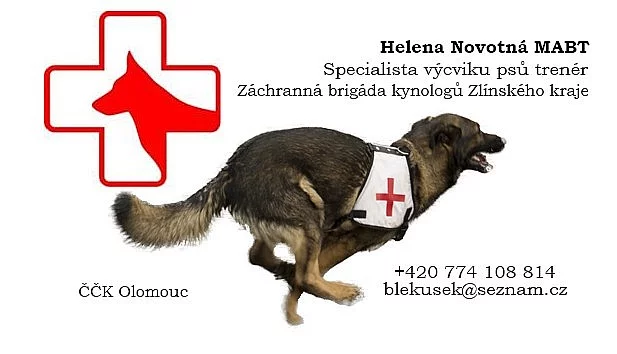 Výcvik psů