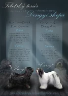 Tibetský teriér s PP