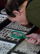Entomologická výstava v Otrokovicích, 13.10.2018