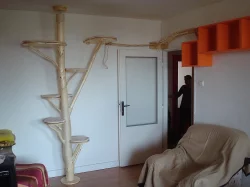Kočičí strom /škrabadlo/kočka/koťata/odpočívadlo